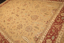 10x14 Tan, Gold, Burnt Orange Color Hand Knotted Soumak Wool Transitional Oriental Rug