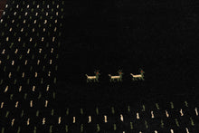 8x11 Black, Ivory, Green Color Hand Knotted Gabbeh Wool Modern & Contemporary Oriental Rug