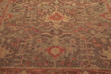 Multi Size Brown Taupe Coral Color Hand Tufted  Wool Traditional Oriental Rug