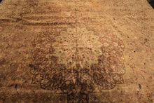 Palace Tan, Sage, Brown Color Hand Knotted Indo Persian Wool Transitional Oriental Rug