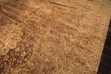 Palace Tan, Sage, Brown Color Hand Knotted Indo Persian Wool Transitional Oriental Rug