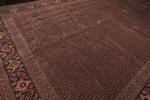 12x18 Black, Rose, Red Color Hand Knotted Sino Persian Wool & Silk Traditional Oriental Rug