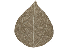 5x6 Brown, Ivory, Color Hand Hooked Leaf Jute loop Contemporary Oriental Rug