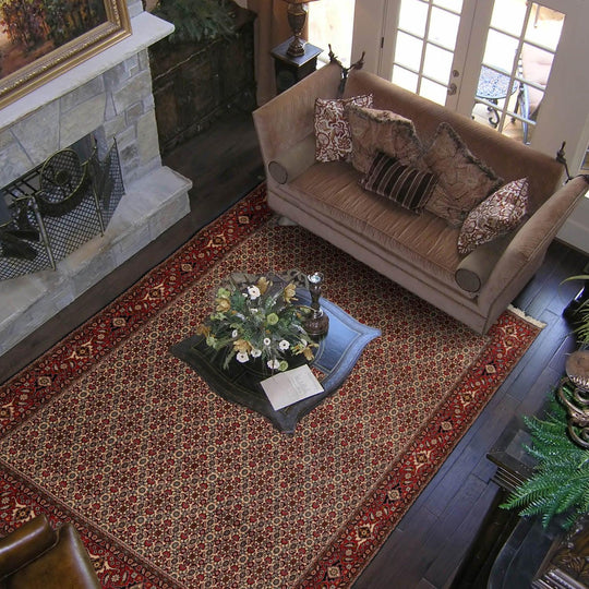 8'2" x 11'2" Hand Knotted 100% Wool Authentic Bidjar Oriental Area Rug Ivory