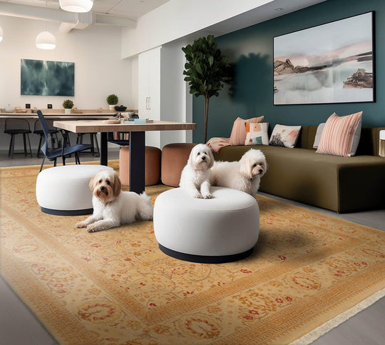 Hand Knotted Wool 16/18 Pak Persian 300 KPSI Oriental Area Rug Tan 8'4" x 10'5"