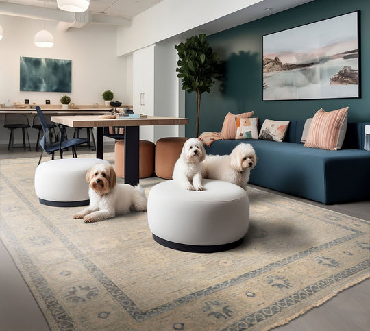 8x10 Hand Knotted Afghan Oushak 100% Wool Modern & Contemporary Oriental Area Rug Gray Beige Color