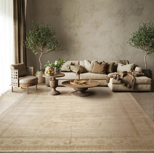 LoomBloom 10'x14'1" Dirty Beige Hand Knotted Contemporary Afghan Oushak Wool Oriental Area Rug