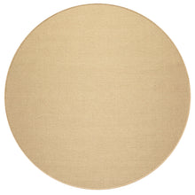Multi Size Sisal Color Hand Loomed  Wool Contemporary Oriental Rug