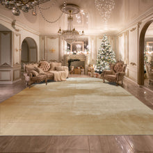 Multi Size Beige Color Hand Knotted Tibetan? Silk Contemporary Oriental Rug