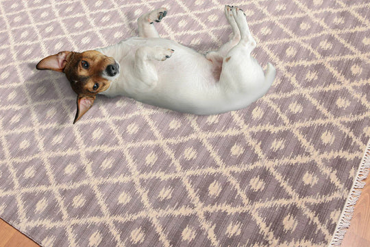 6' x 9' Hand Knotted IKAT design 100% Wool Area rug Gray