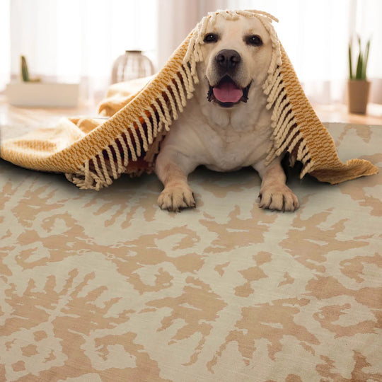 6' x 9' Hand Knotted Abstract 100% Wool Area Rug Gold