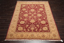 8' x 10' Hand Knotted Traditional Agra 100% Wool Area Rug Burgundy