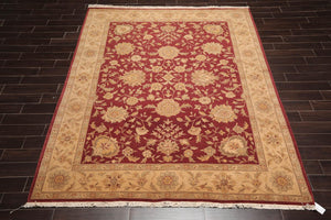 8' x 10' Hand Knotted Traditional Agra 100% Wool Area Rug Burgundy - Oriental Rug Of Houston