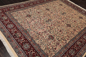 8' x 10'3" Hand Knotted Wool Pakpersian 16/18-300 KPSI Oriental Area Rug Ivory