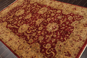 6' x 8'9" Hand Knotted Agra 100% New Zealand Wool Oriental Area Rug Ruby