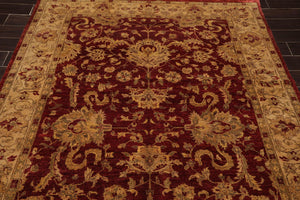 6' x 8'9" Hand Knotted Agra 100% New Zealand Wool Oriental Area Rug Ruby