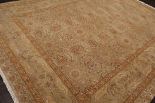 9'3'' x 12'3'' Hand Knotted 100% Wool Agra Traditional Oriental Area Rug Moss - Oriental Rug Of Houston