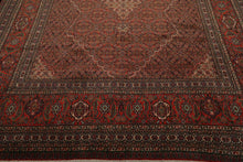 8'7" x 11'11" Hand Knotted Serab Traditional 100% Wool Oriental Area Rug Coral