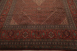 8'7" x 11'11" Hand Knotted Serab Traditional 100% Wool Oriental Area Rug Coral