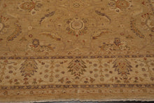 9'6" x 11'9" Hand Knotted Wool Chobi Peshawar Traditional Oriental Area Rug Tan