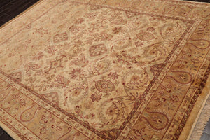 7'9" x 9'8" Hand Knotted Traditional Wool Agra Oriental Area Rug Warm Beige - Oriental Rug Of Houston