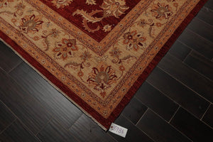 Chobi Peshawar Hand Knotted 100% Wool Oriental Area Rug Rusty Red 9' x 11'9" - Oriental Rug Of Houston