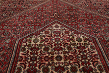 3'10"x5'10 Authentic Hand Knotted 100% Wool Bidjar Traditional Area Rug Ivory - Oriental Rug Of Houston