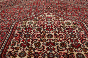 3'10"x5'10 Authentic Hand Knotted 100% Wool Bidjar Traditional Area Rug Ivory - Oriental Rug Of Houston