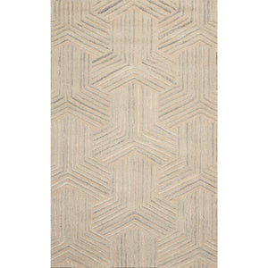 5' x8'  Beige Gray Color Hand Tufted Hand Made 100% Wool Modern & Contemporary Oriental Rug