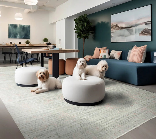 8x10 Beige, Gray Hand Knotted 100% Wool Modern & Contemporary Oriental Area Rug